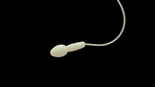 蝌蚪怎么变成成人的视频,揭秘从幼体到成蛙的神奇过程