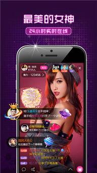 成人夜蒲视频app,隐秘世界的虚拟狂欢