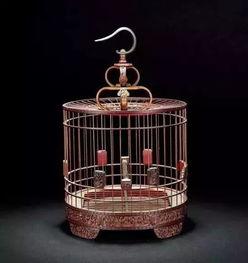 鸟笼变成人魔术视频,鸟笼变人奇观背后的奥秘