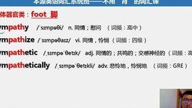 成人英语有趣玩法视频,跟随视频探索成人英语的欢乐世界