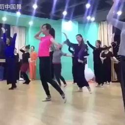 跳舞成人节奏视频大全,精选成人舞蹈节奏视频大盘点