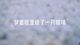 酷炫成人滑板视频,酷炫成人滑板视频集锦