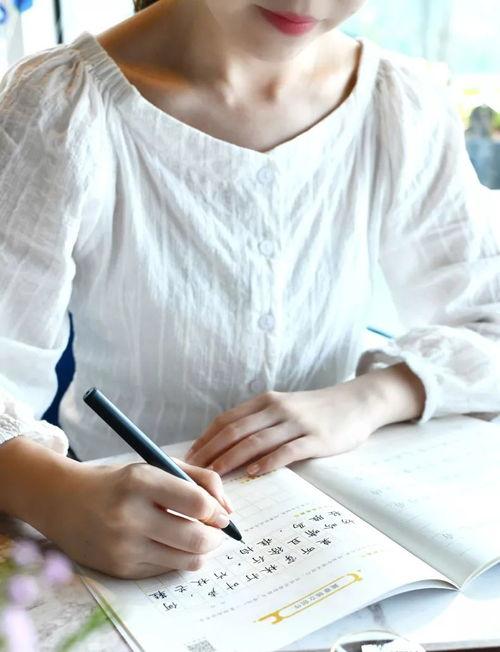 书法成人练字正楷视频大全,视频大全精选解析