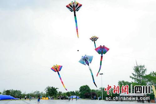 风筝大型成人超长视频,成人视角下的超长情感旅程