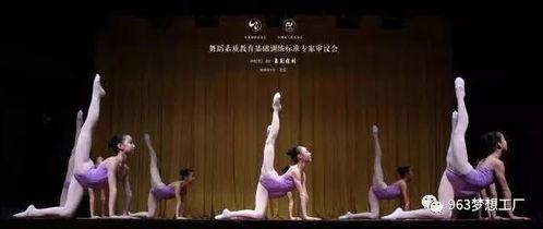 梨树成人跳舞视频大全,精彩纷呈的舞蹈视频大盘点