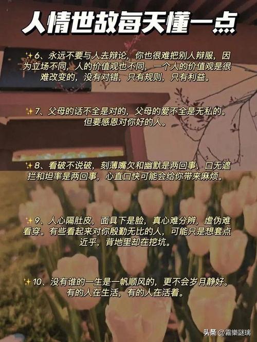 成人人情世故视频,视频解析人际交往智慧